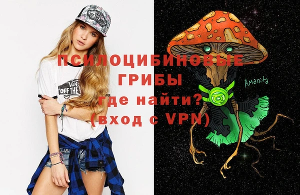 не бодяженный Белокуриха