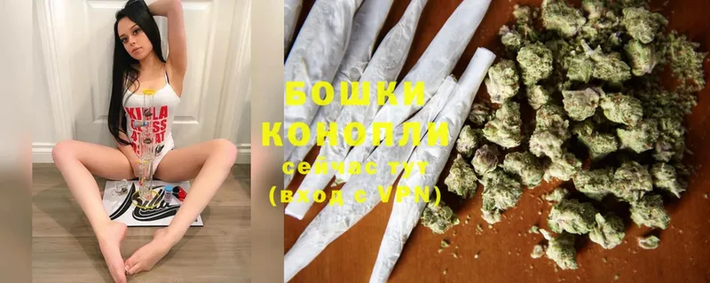 Конопля SATIVA & INDICA  Кизляр 